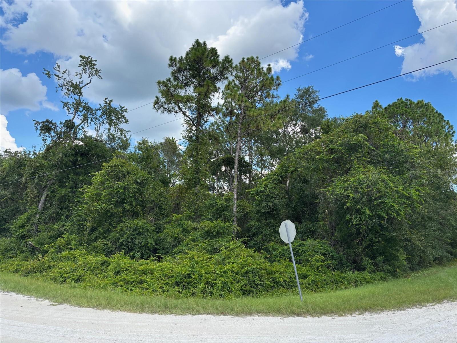 Beautiful 0.47+/- acre Corner lot Tucked Away on a Dead-end Street in the Highly Desirable Royal Highlands area of Hernando County - Florida's Nature Coast! This Quiet, Sought-after area provides a Rural Setting with Quick Access to Schools, Shopping, Medical, Restaurants, & Golf Courses. With Mature Trees - keep or clear as you wish. No HOA or CDD fees. Plenty of room for your Outdoor Toyst. Buy Now/Build Now or Buy Now/Build Later - Take a Look Before it's Gone!