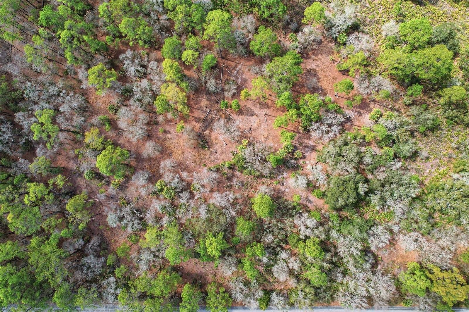 CRYSTAL MANOR UNIT 02 - Land