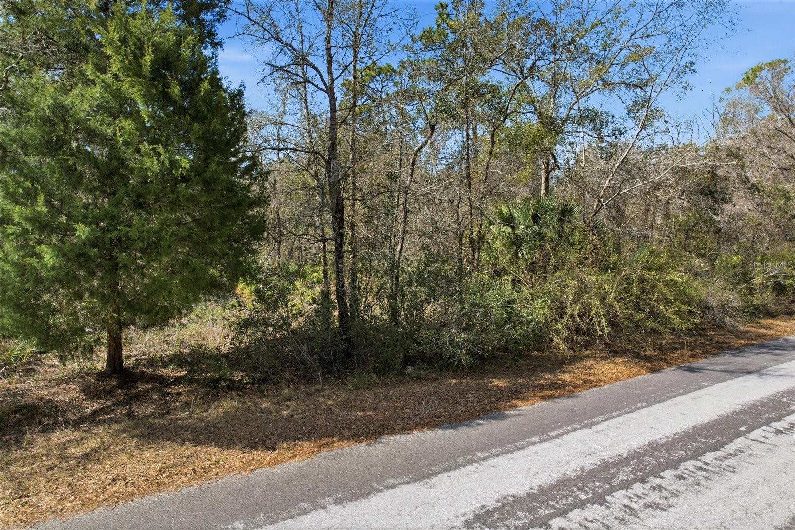 CRYSTAL MANOR UNIT 02 - Land