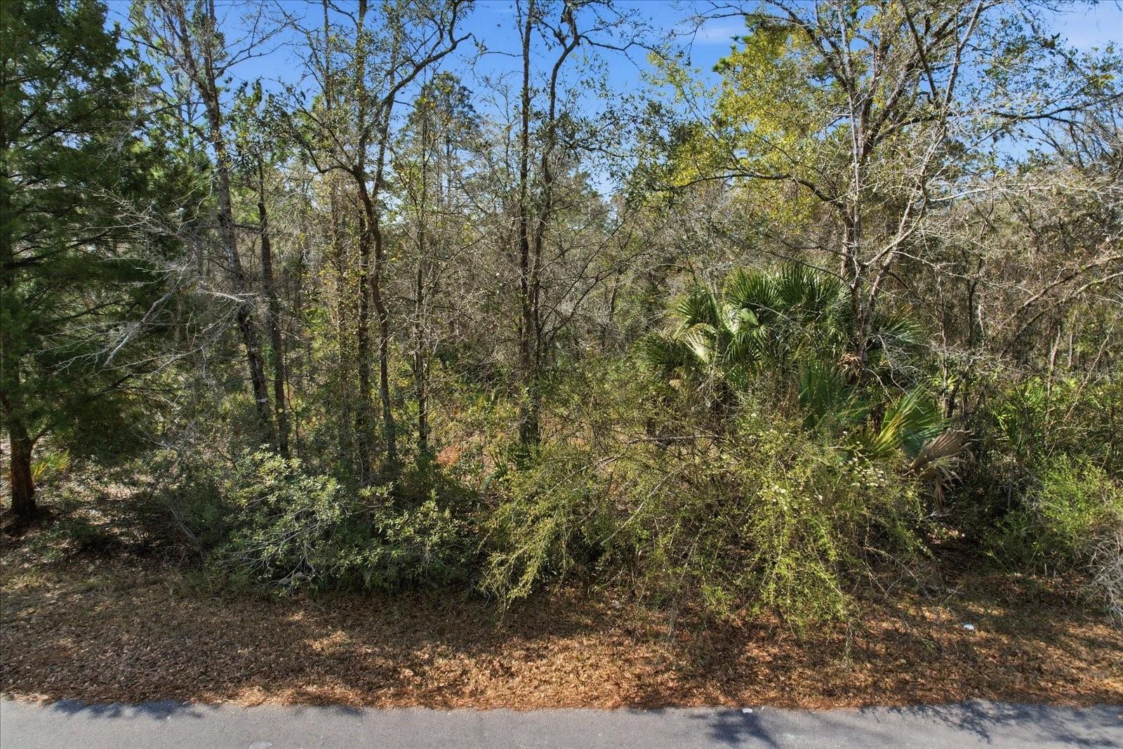 CRYSTAL MANOR UNIT 02 - Land