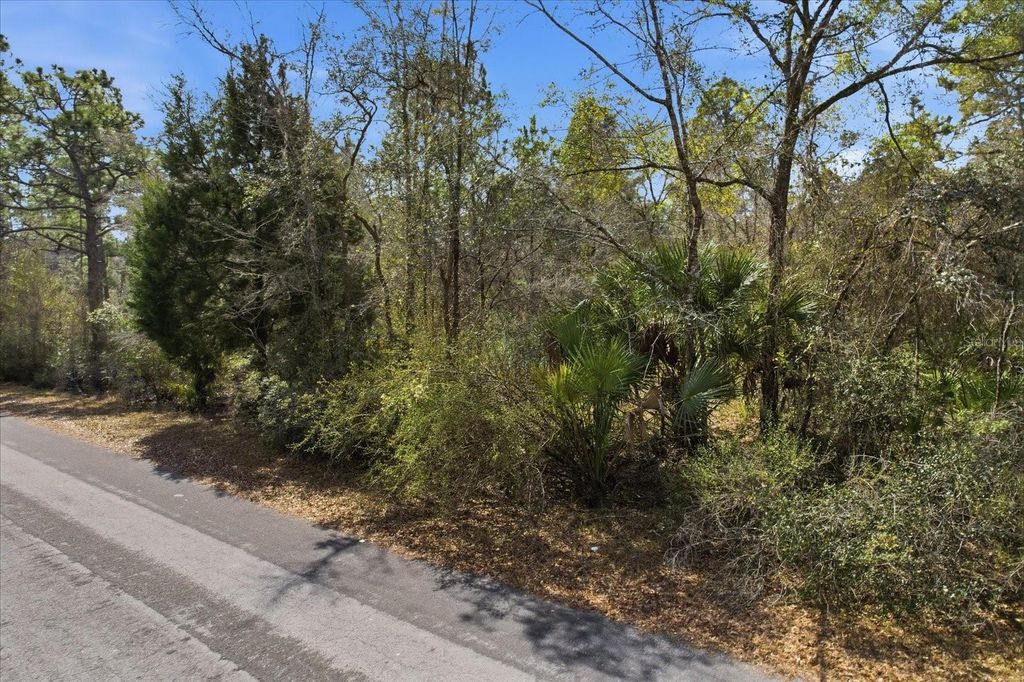 Photo of 9568 N Dawnflower Avenue, Crystal River, FL 34428 (MLS # TB8493851)