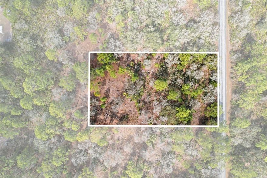 Take a look at this beautiful lot in Crystal River. This parcel offers 1.36 acres of peace and serenity and is ready to build your new dream home. Just 6 miles to the Gulf of America for any of your salt water activities. Enjoy warm sunny Florida all year long!