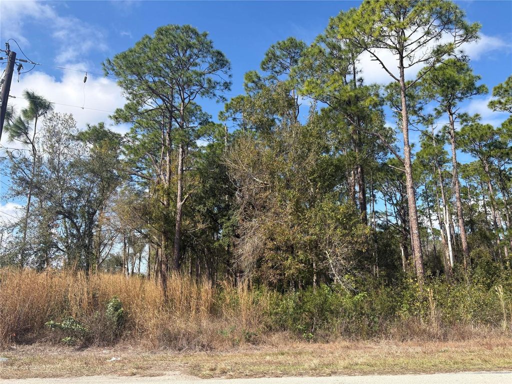 Photo of 3214 Sr-66, Sebring, FL 33875 (MLS # O6381501)