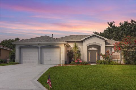 22125 DRAW BRIDGE DRIVE LEESBURG FL 34748