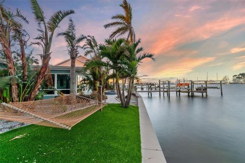 A home in ST PETE BEACH