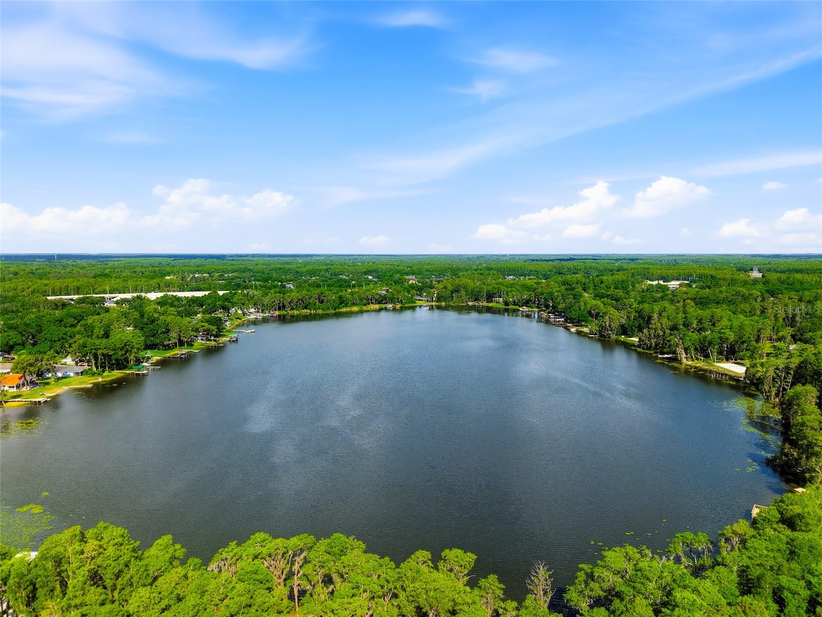 16622 Lakeshore Rd, Tampa, FL, 33624, USA, 3 Bedrooms Bedrooms, ,3 BathroomsBathrooms,Residential,Contingent,16622 Lakeshore Rd,TB8520081