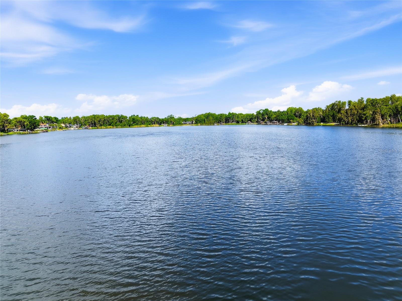16622 Lakeshore Rd, Tampa, FL, 33624, USA, 3 Bedrooms Bedrooms, ,3 BathroomsBathrooms,Residential,Contingent,16622 Lakeshore Rd,TB8520081