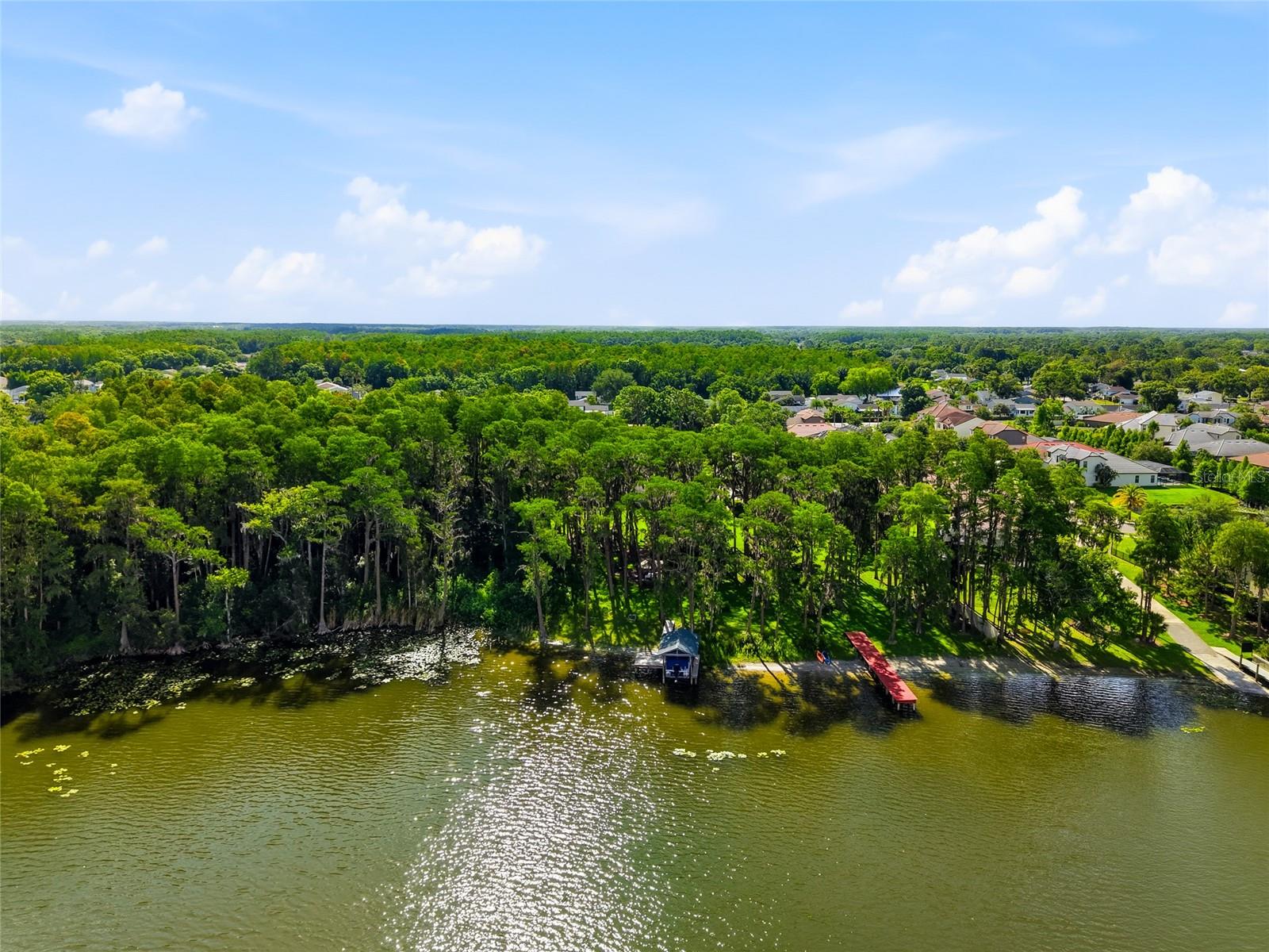 16622 Lakeshore Rd, Tampa, FL, 33624, USA, 3 Bedrooms Bedrooms, ,3 BathroomsBathrooms,Residential,Contingent,16622 Lakeshore Rd,TB8520081