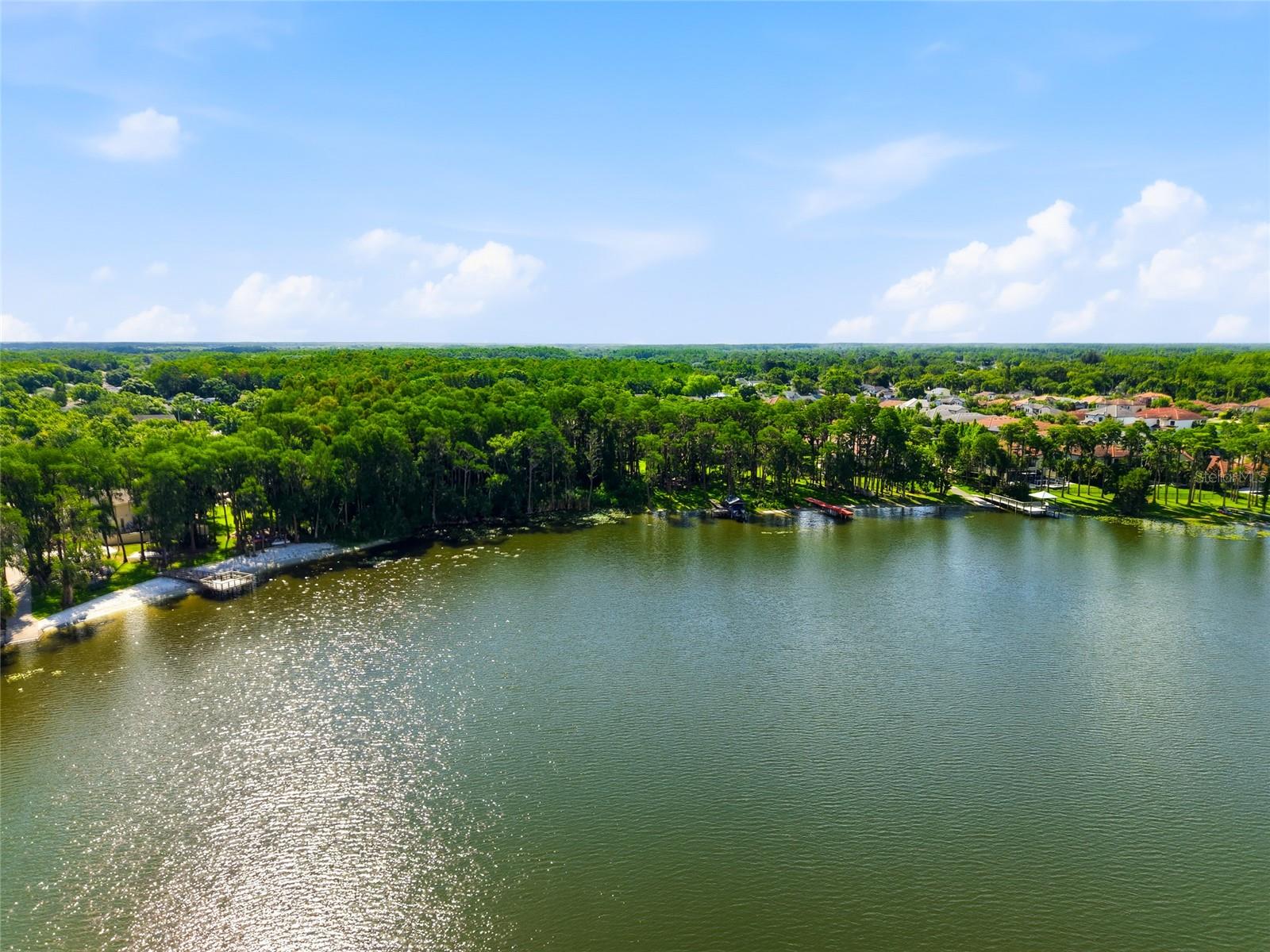 16622 Lakeshore Rd, Tampa, FL, 33624, USA, 3 Bedrooms Bedrooms, ,3 BathroomsBathrooms,Residential,Contingent,16622 Lakeshore Rd,TB8520081