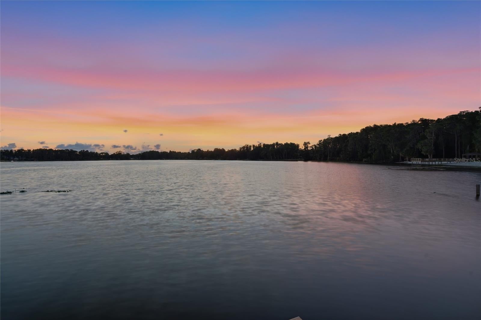 16622 Lakeshore Rd, Tampa, FL, 33624, USA, 3 Bedrooms Bedrooms, ,3 BathroomsBathrooms,Residential,Contingent,16622 Lakeshore Rd,TB8520081