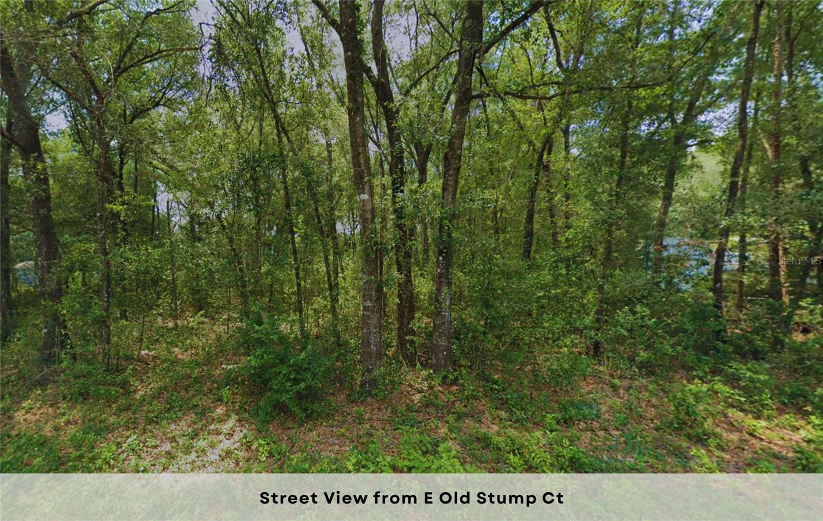 5356 E OLD STUMP COURT