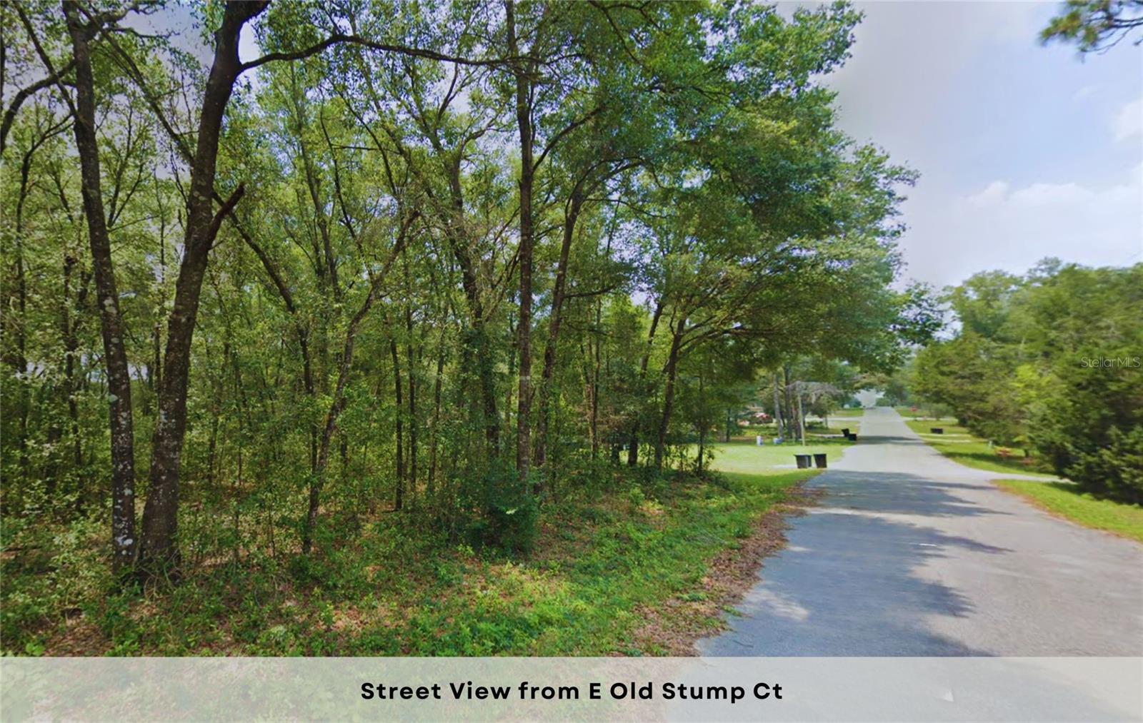 5356 E OLD STUMP COURT
