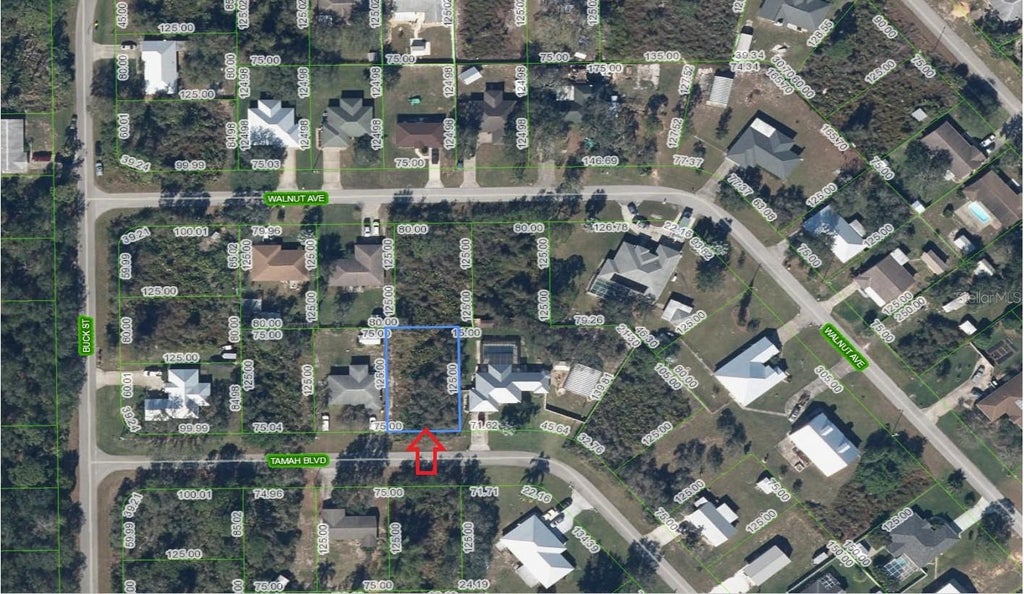 Photo of 1507 Tamah Boulevard, Lake Placid, FL 33852 (MLS # A4689149)