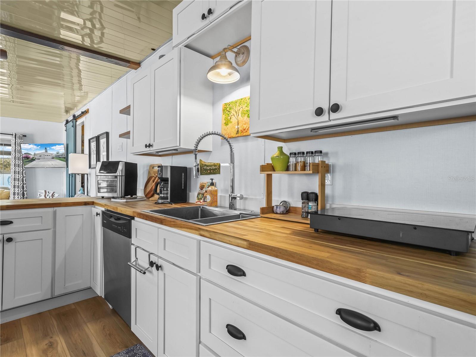 SADDLEBAG LAKE - Residential