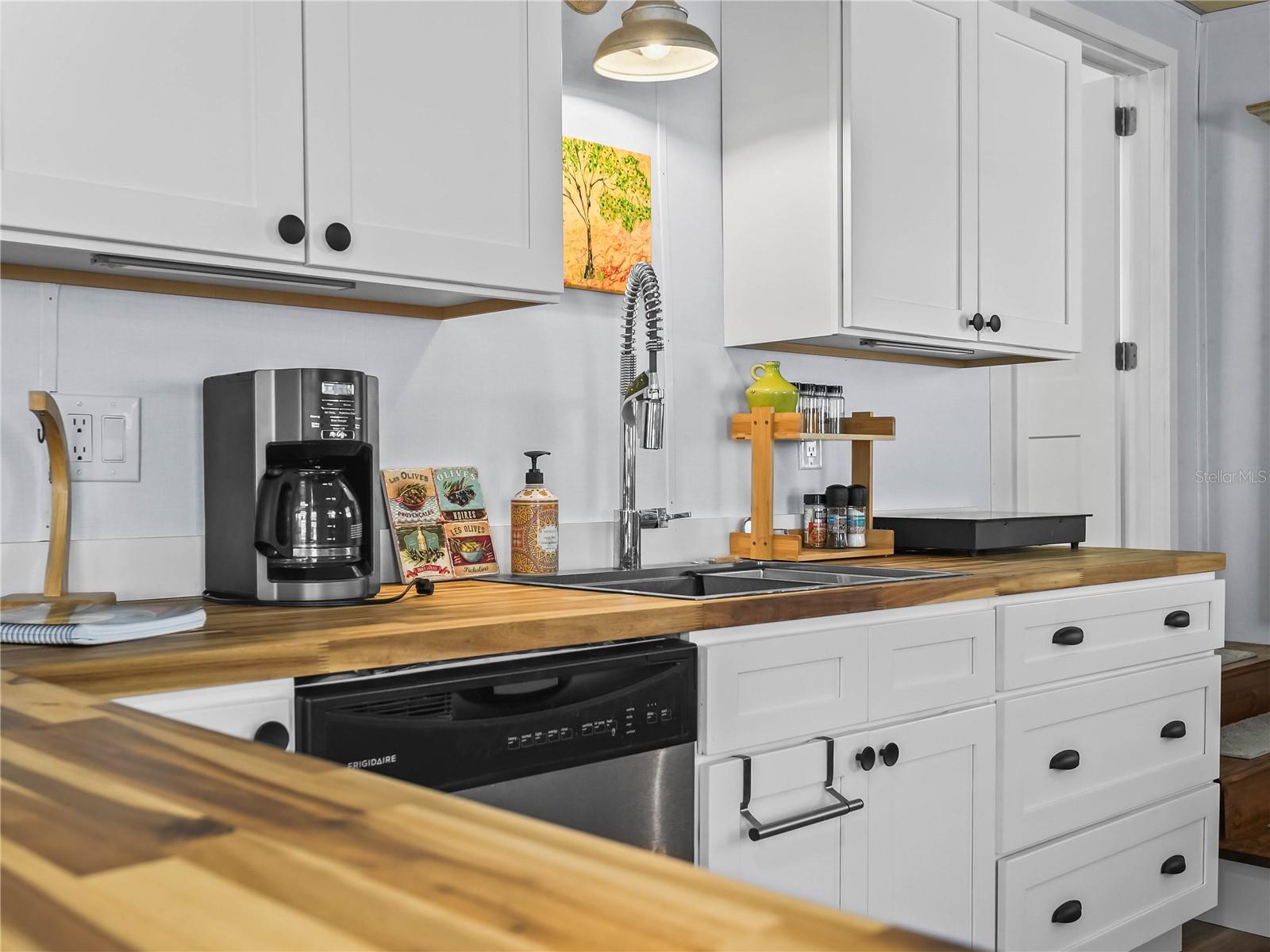 SADDLEBAG LAKE - Residential