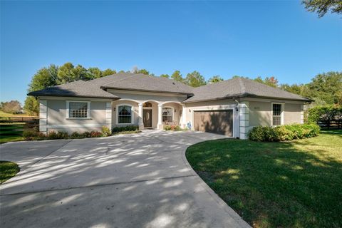 Photo of 36752 Nashua Boulevard, Sorrento, FL 32776 (MLS # R4910343)