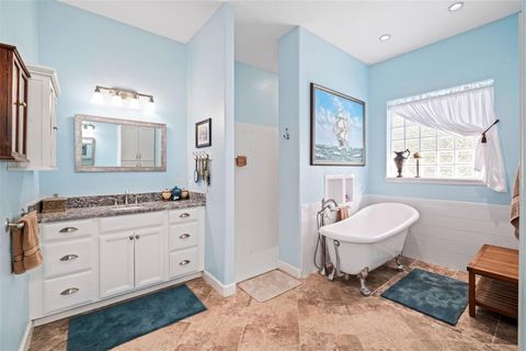 Tiny photo for 36752 Nashua Boulevard, Sorrento, FL 32776 (MLS # R4910343)