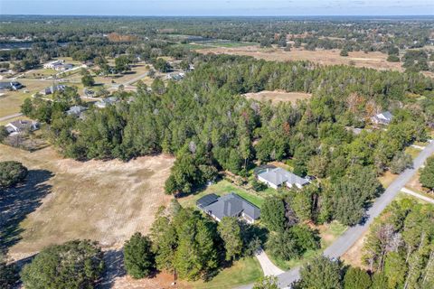 Tiny photo for 36752 Nashua Boulevard, Sorrento, FL 32776 (MLS # R4910343)