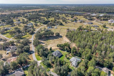 Tiny photo for 36752 Nashua Boulevard, Sorrento, FL 32776 (MLS # R4910343)