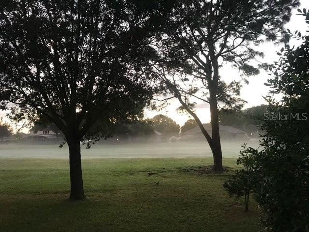 Photo of 2435 Sweetwater Cc Place Drive, Apopka, FL 32712 (MLS # O6401705)