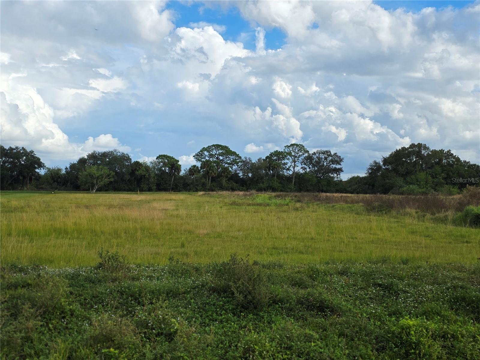 SAWGRASS ESTATES - Land