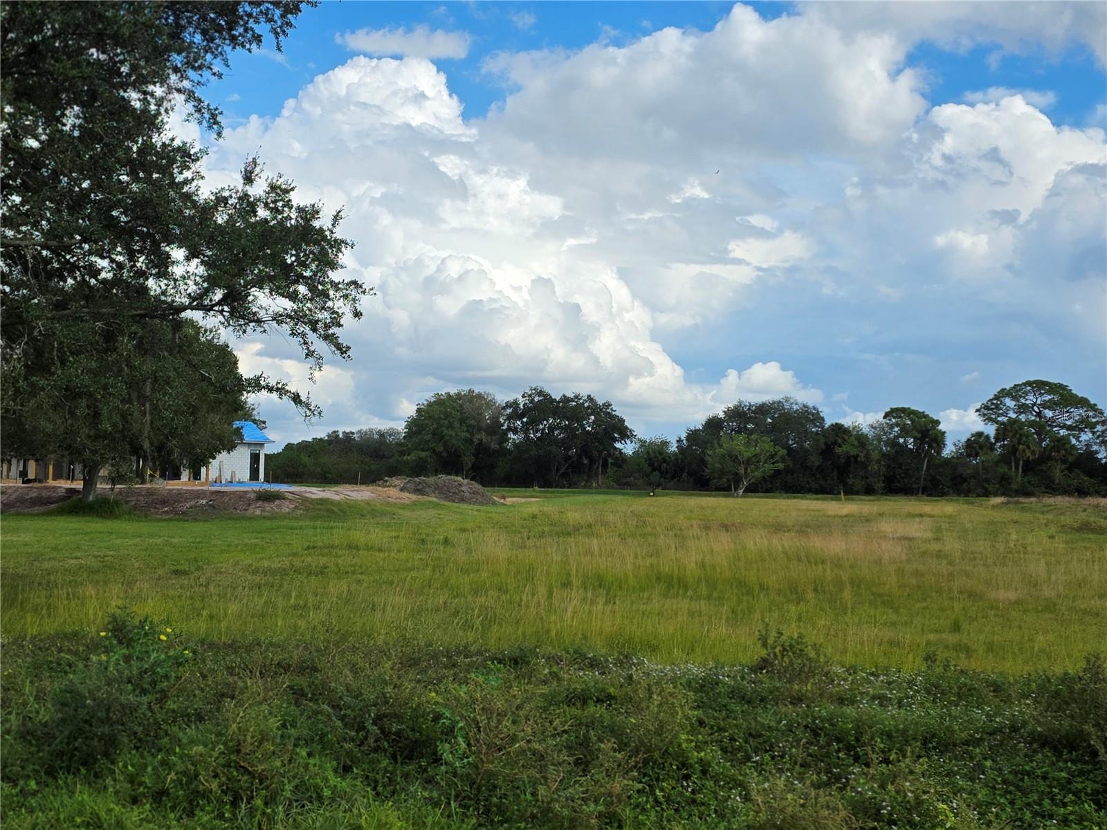 SAWGRASS ESTATES - Land