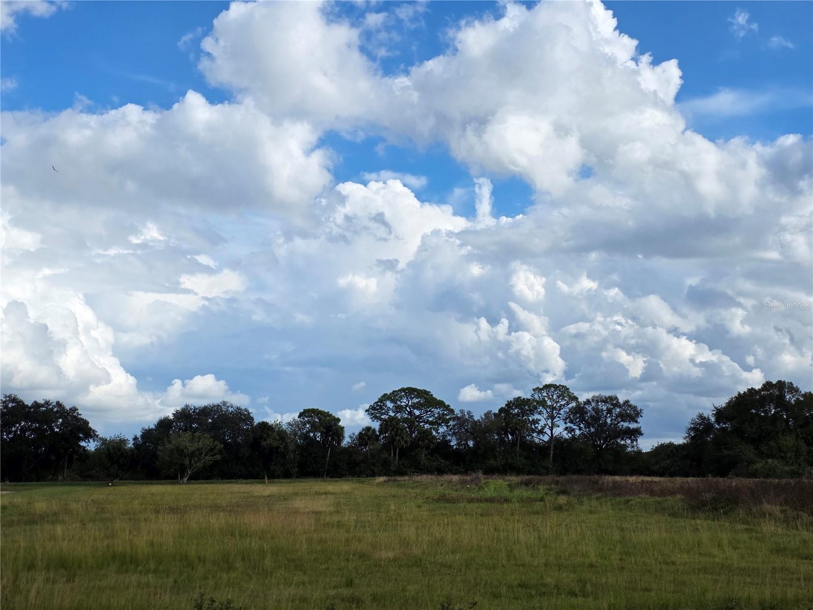 SAWGRASS ESTATES - Land