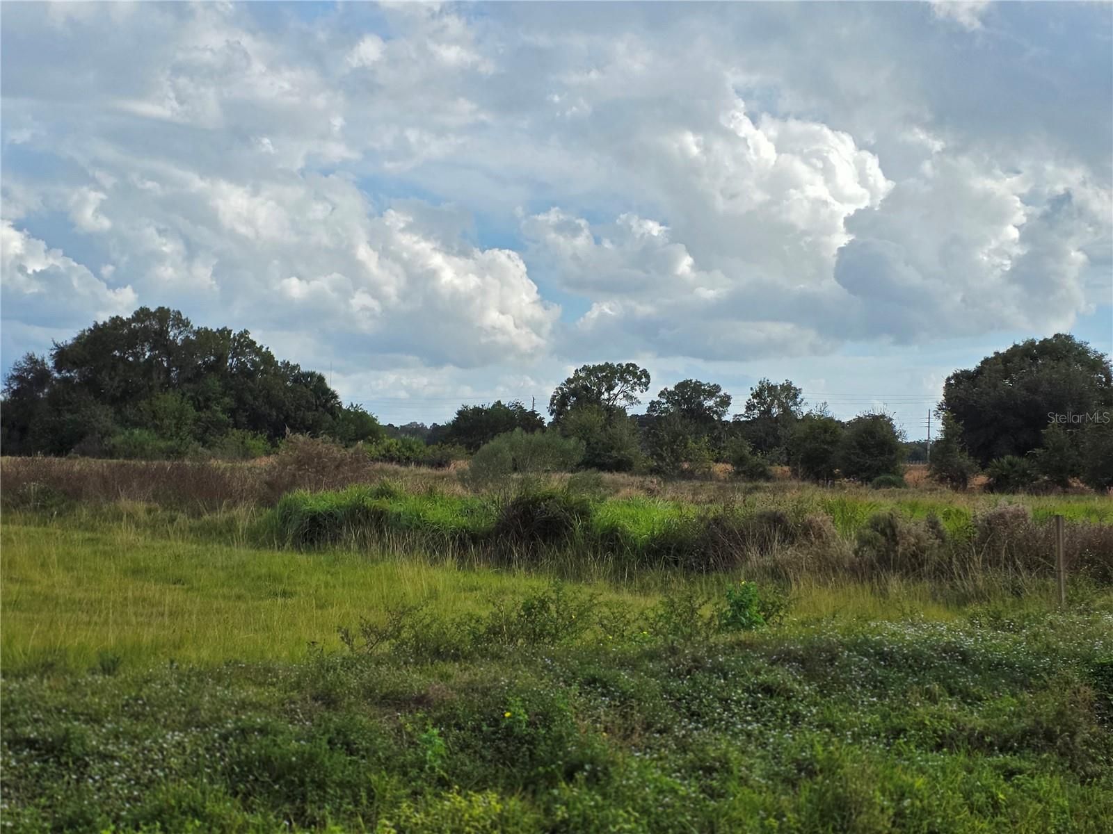 SAWGRASS ESTATES - Land