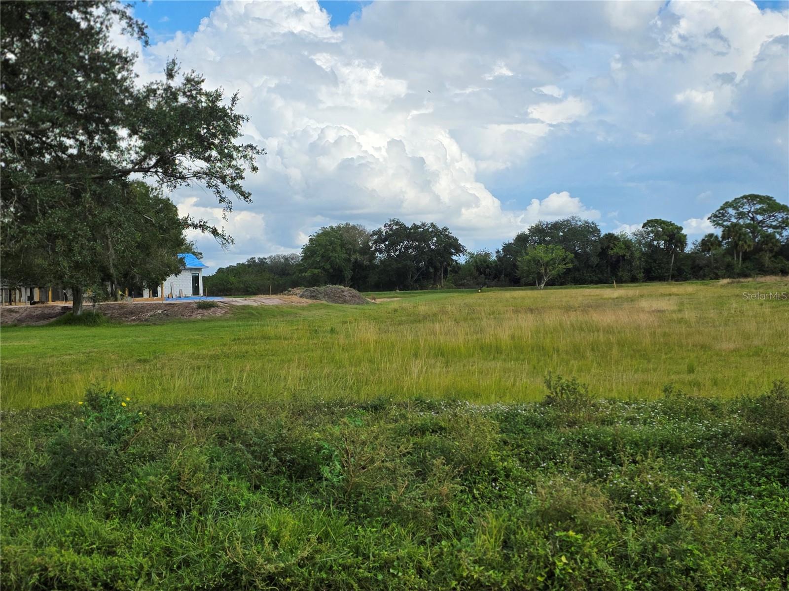 SAWGRASS ESTATES - Land