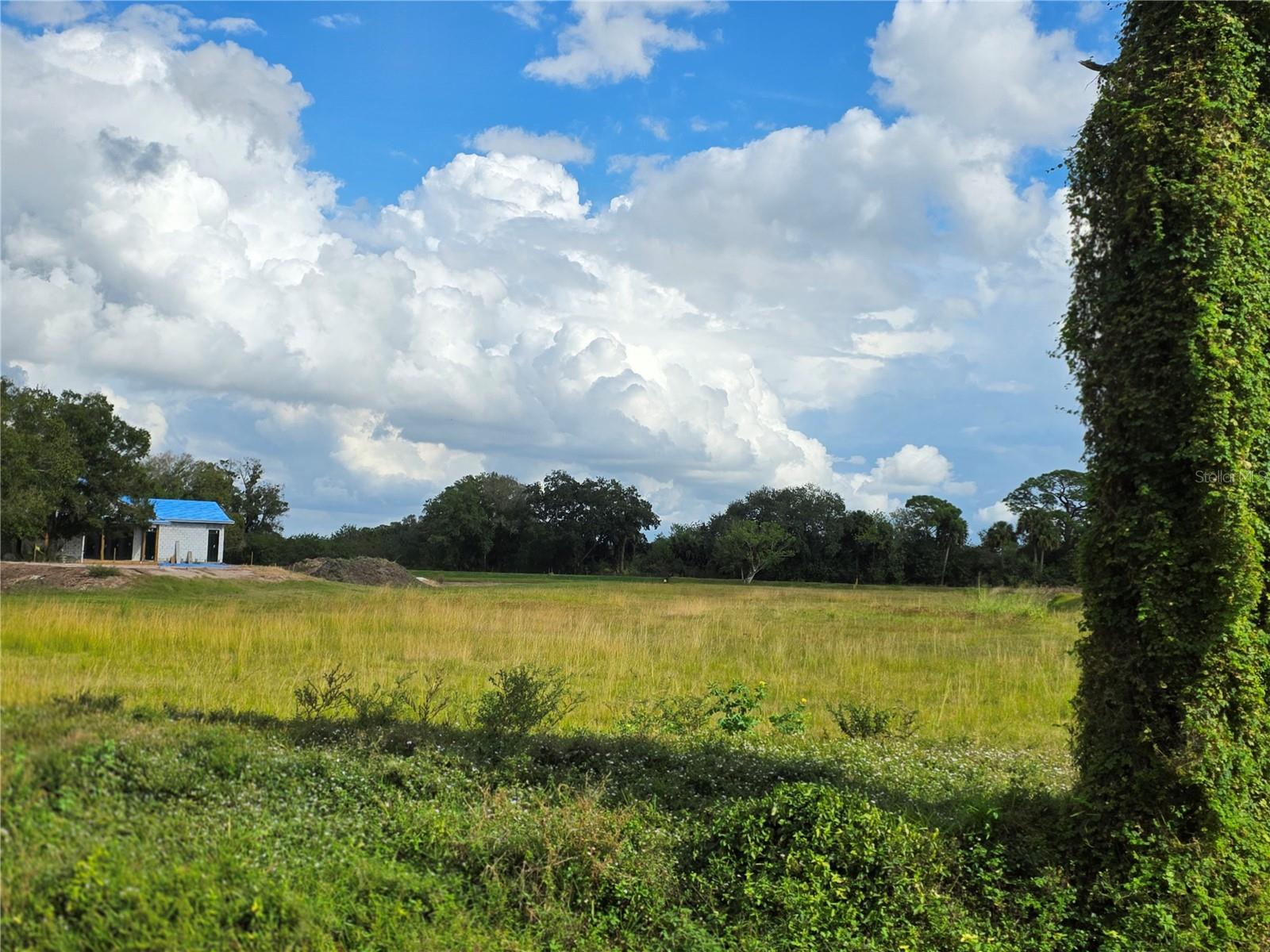SAWGRASS ESTATES - Land