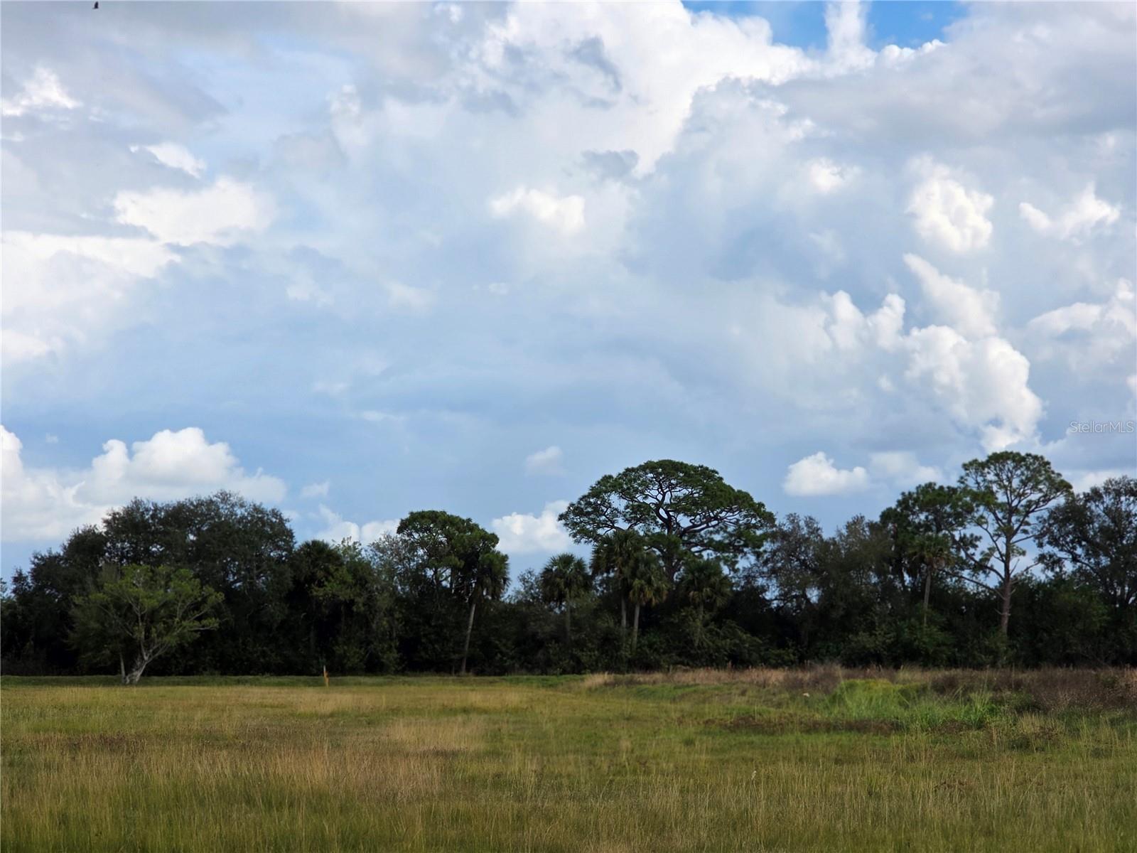 SAWGRASS ESTATES - Land