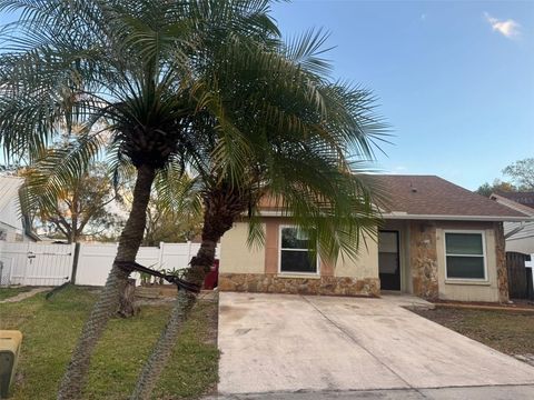 A home in PLANT CITY