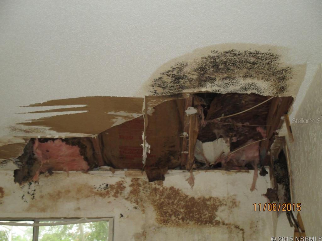 Florida Shores 01 - Residential