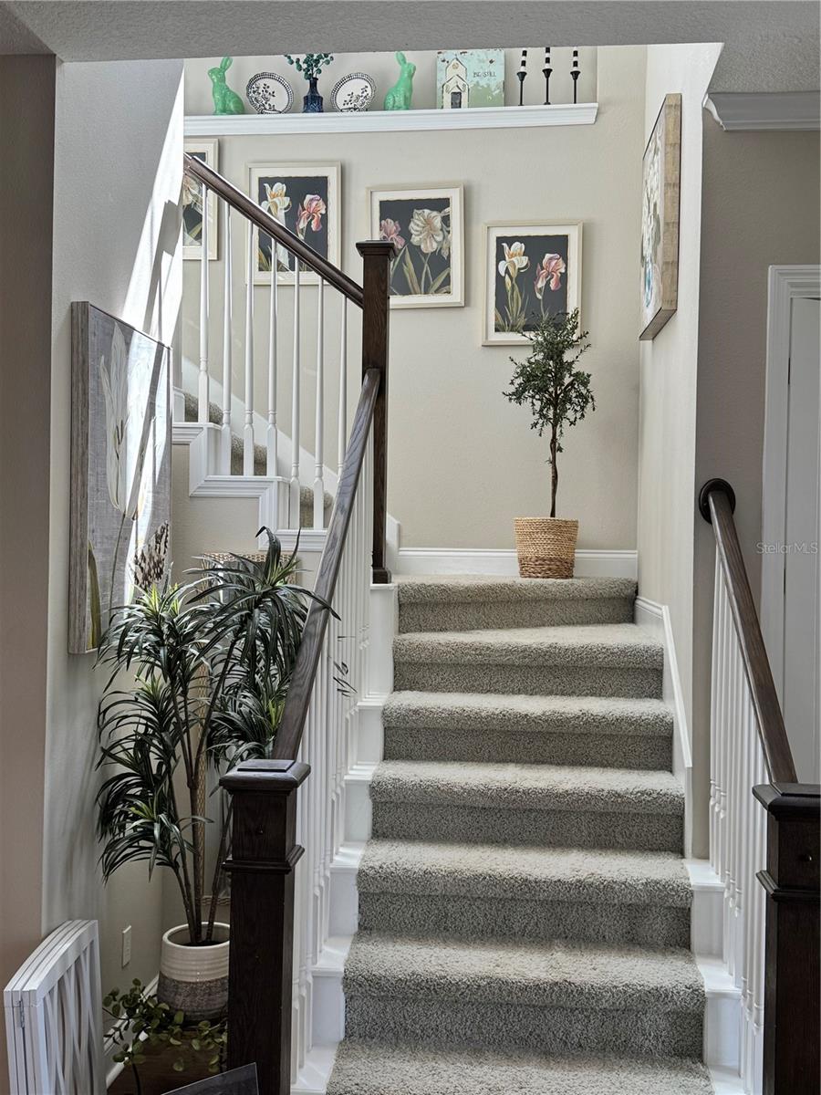 LAKE NONA LAUREATE PARK PH 2A - Residential