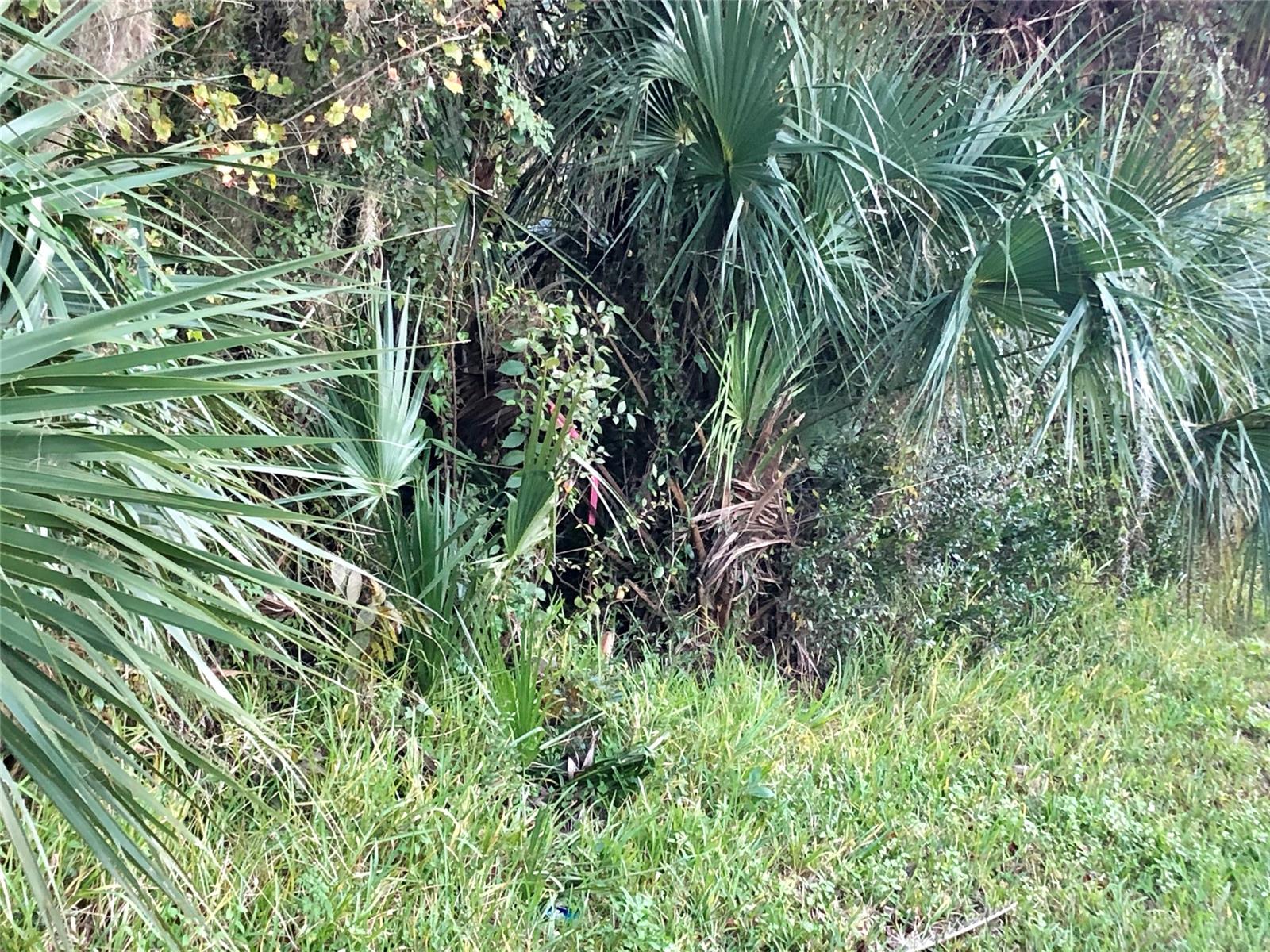 Edgewater Park Sub - Land