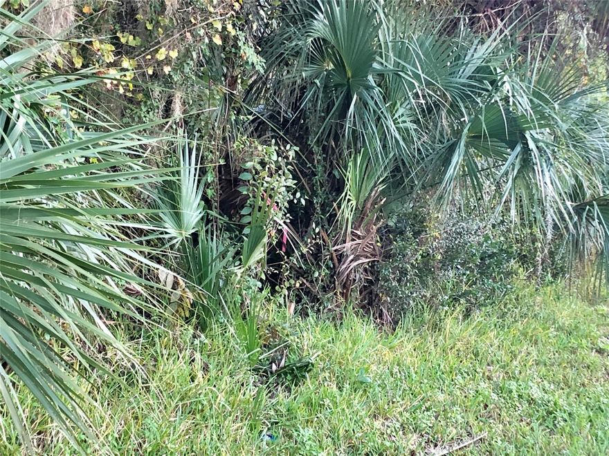 PRICE REDUCED!!!!!  PERFECT EDGEWATER LOCATION to build! Large 1/2 are lot on the corner of Arthur and 27th! 165 x 134 dimensions per new boundary survey! Lot has partial road clearing off Arthur/27th.  Parcel 8402-00-00-0540.  Close to shopping centers and less than 1 mile to the intra-coastal waterway.  NO HOAs! The additional nice perk with owning this property is that there’s a 38 x 138 ft easement next to this lot that can not be built on so this 1/2 acre appears much larger than it is!  Take advantage of not having a neighbor right on your property line.  Sellers have legal paperwork showing history of this easement that they will give to buyer.  


All information intended to be accurate but not guaranteed.; Cleared: No ;Water: City