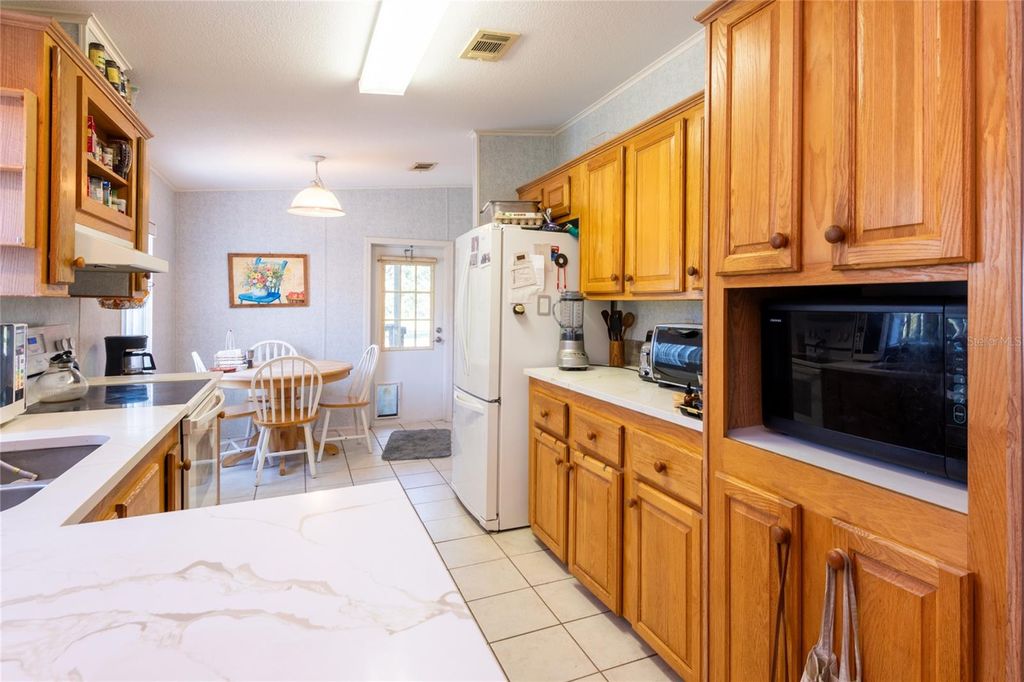 Photo of 1735 Dorothy Boulevard, Lutz, FL 33558 (MLS # TB8376369)