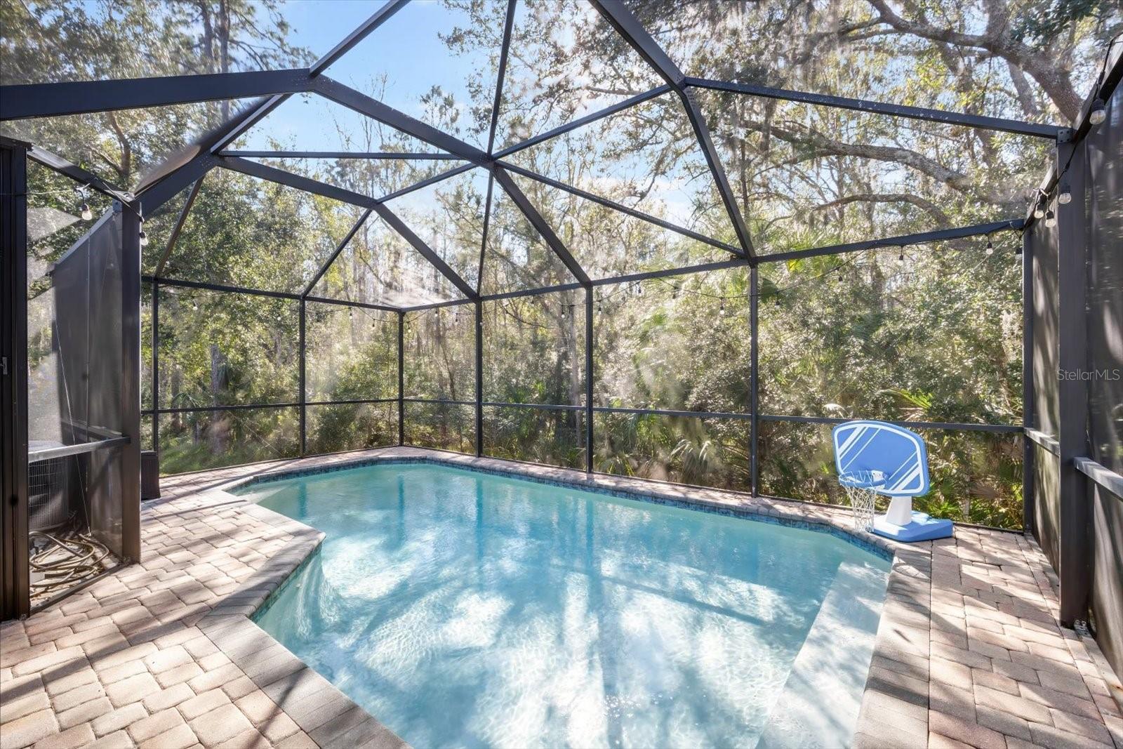 TUSCANY SUB AT TAMPA P - Residential