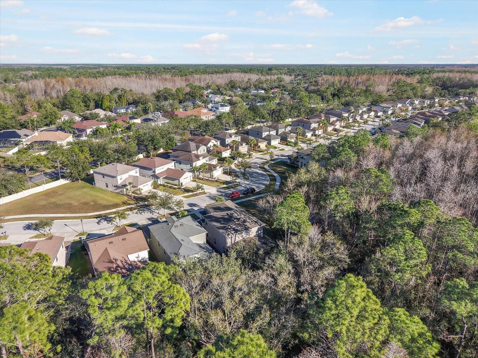 TUSCANY SUB AT TAMPA P - Residential