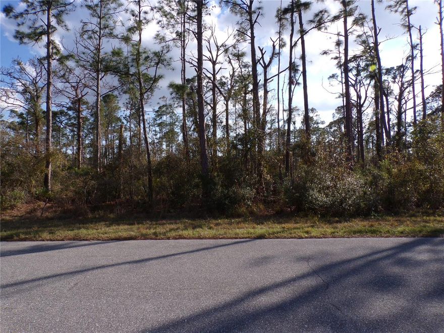 This lot is on a quiet street that would be a great place to build your dream home and retire or raise your family. Less than 6 miles to I75 makes this location an easy commute to almost anywhere, and only 23 miles to Venice Pier and Beach with amazing sunsets, 9 miles to Cocoplum Village Shops with lots of shopping and dining options. Atlanta Braves spring training and the fairgrounds are just minutes away, also multiple golf courses and some of the best boating and fishing in all of Florida. Red Soxs, Orioles, Twins and Rays spring training all within an hour’s drive. Buyer and buyers rep responsible for determining environment conditions and endangered species restrictions. This lot is priced to sell so please call for availability! This lot is at a great price point for the investor call today.