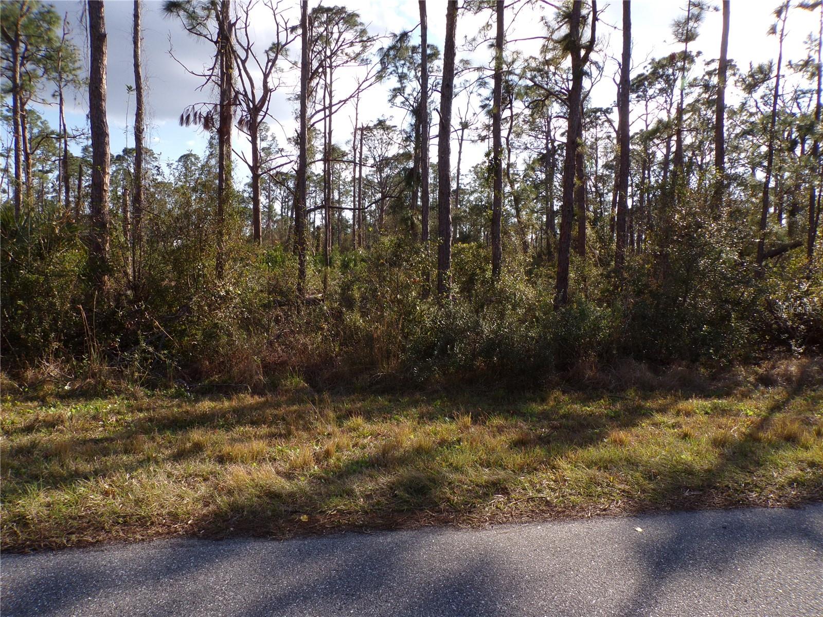 PORT CHARLOTTE SUB 25 - Land