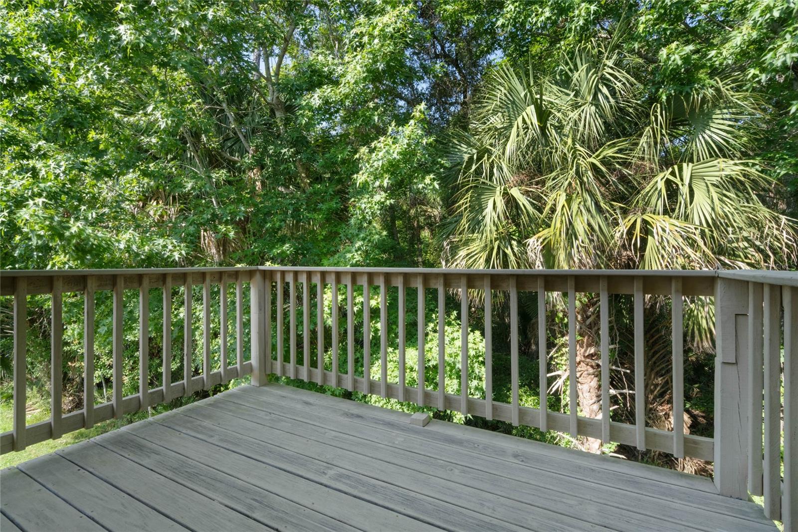 CELEBRATION SOUTH VILLAGE - Residential