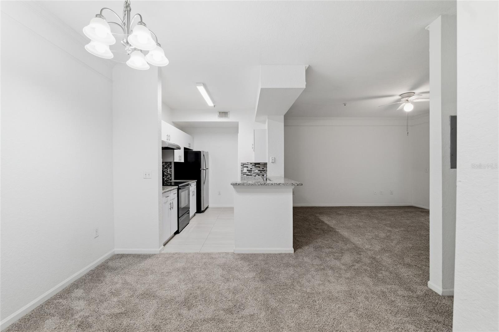 17112 CARRINGTON PARK DRIVE 926