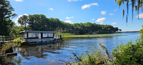 A home in PALM HARBOR