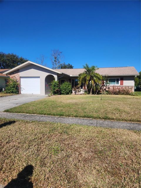 A home in PALM HARBOR