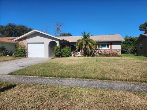 A home in PALM HARBOR