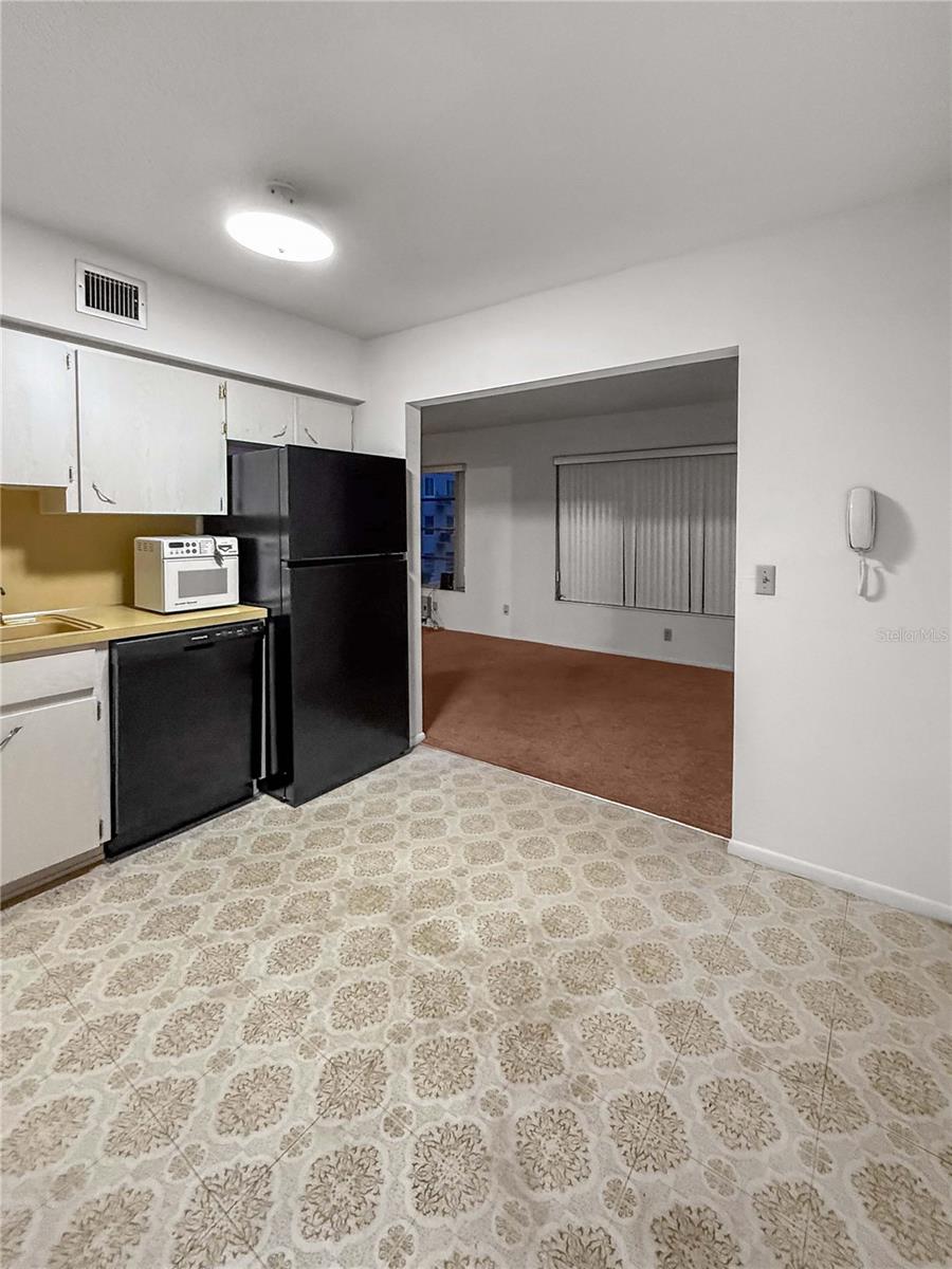 2460 PERSIAN DRIVE 44