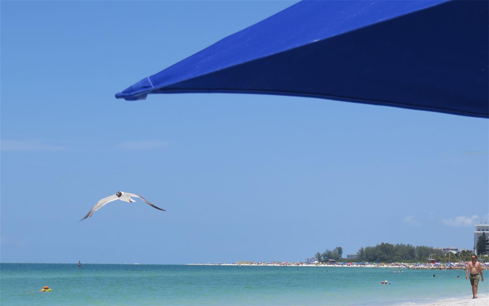 BIRD KEY SUB - Residential