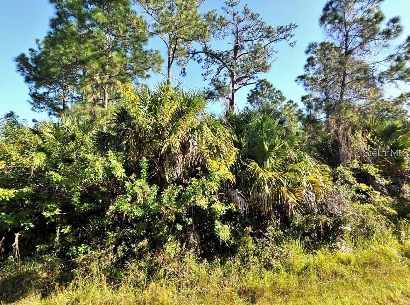 Build your Florida dream home or invest in a growing area with this beautiful vacant residential lot on Culpepper Terrace, located in Port Charlotte Subdivision 19. Surrounded by peaceful natural scenery and newly built homes, this property offers the perfect mix of privacy and convenience.
Enjoy being just minutes from I-75, US-41 (Tamiami Trail), Cocoplum Village Shops, Warm Mineral Springs, and Gulf Coast beaches. North Port continues to be one of Florida’s fastest-growing communities—making this lot an ideal long-term investment or homesite.