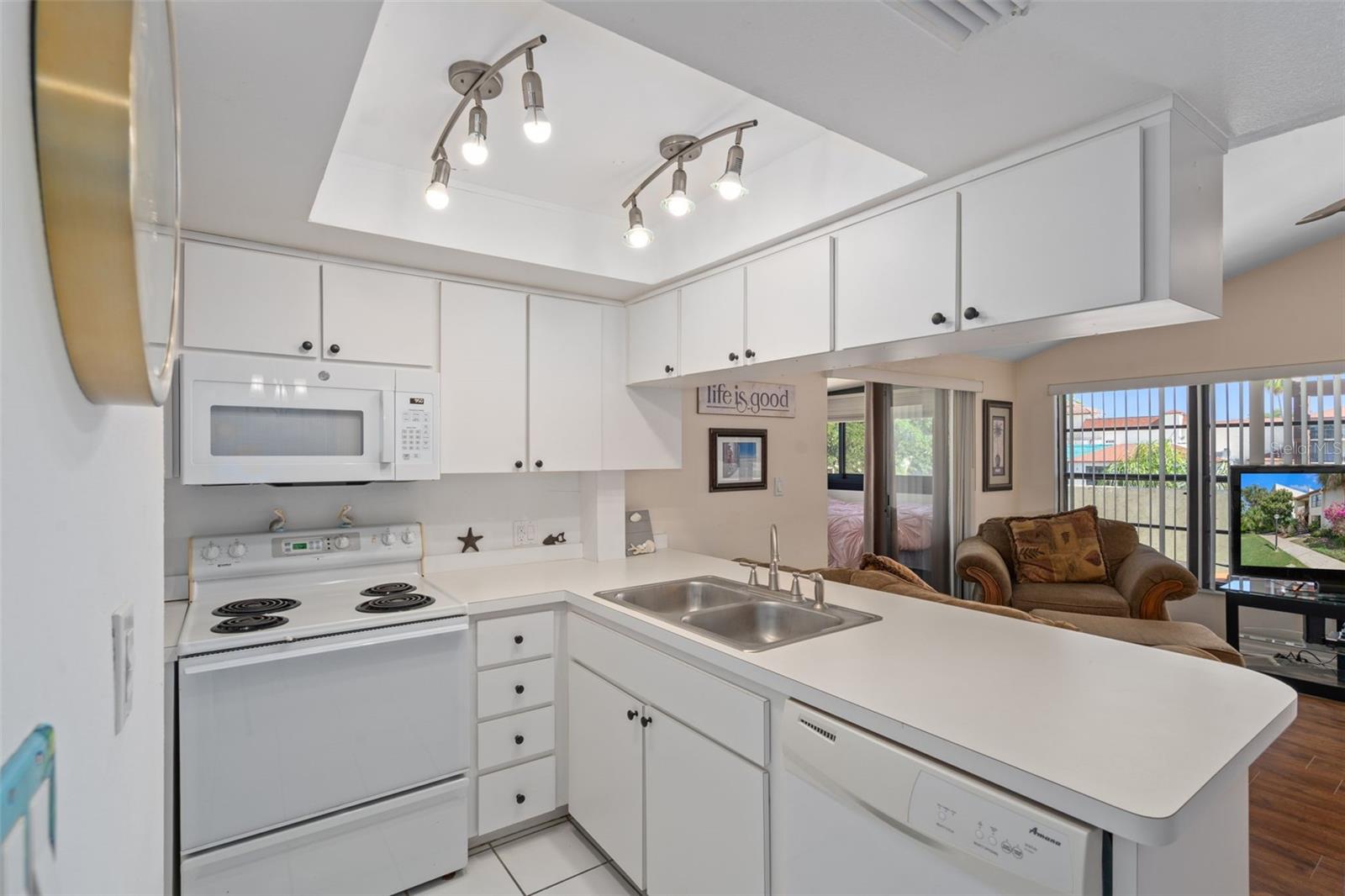 LAKE TARPON VILLAS CONDO - Residential